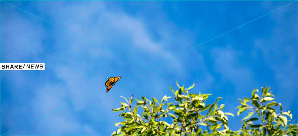 leptir na plavom nebu